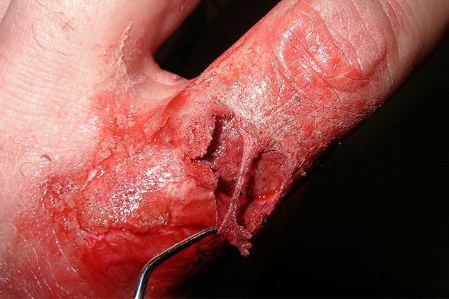 Special Effects